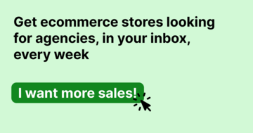 Ecommerce Leads